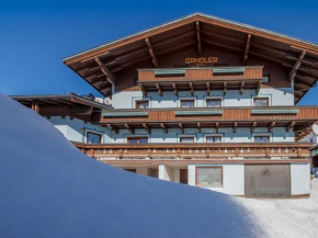 Sunny flat in Mittersill near the ski area